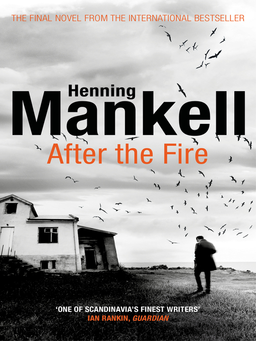 Title details for After the Fire by Henning Mankell - Wait list